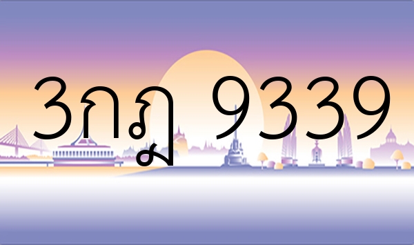 3กฎ 9339